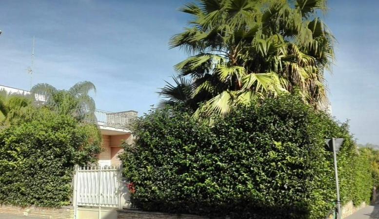 Villa Lazzari B&B Tra I Due Mari Maglie Ngoại thất bức ảnh